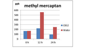 Reduktion von Methylmerkaptan über 12 und 24 Stunden durch CB12-Mundspülung gegenüber Wasser